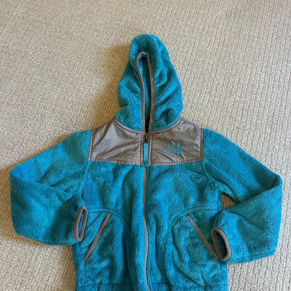 The North Face Blue and Brown Sweatshirt Hoodie